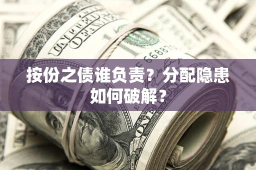 武汉按份之债谁负责？分配隐患如何破解？