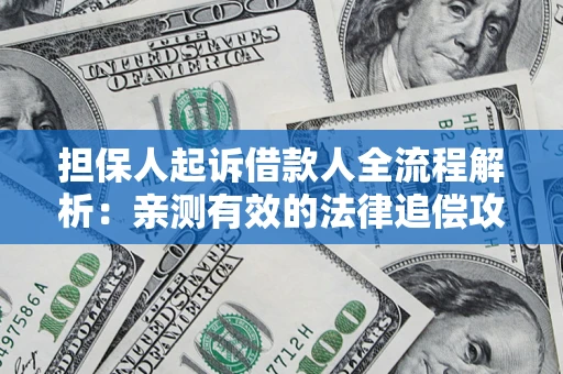 武汉担保人起诉借款人全流程解析：亲测有效的法律追偿攻略