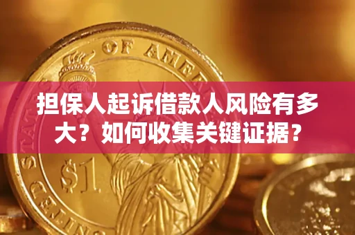 武汉担保人起诉借款人风险有多大？如何收集关键证据？