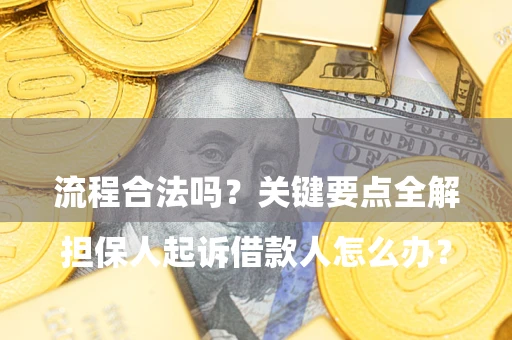 武汉

担保人起诉借款人怎么办？流程合法吗？关键要点全解析