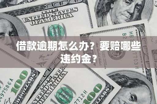 武汉借款逾期怎么办？要赔哪些违约金？
