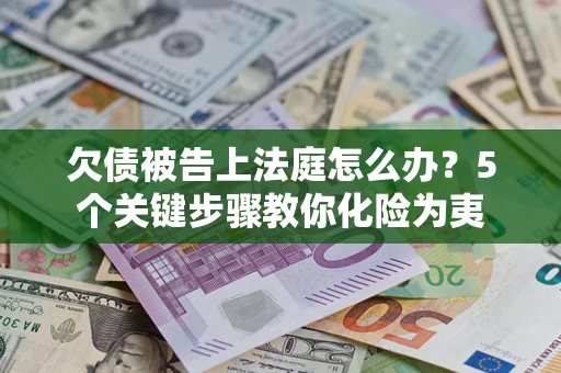 武汉欠债被告上法庭怎么办？5个关键步骤教你化险为夷