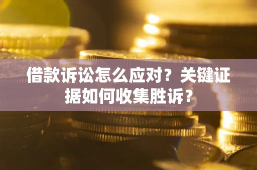 武汉借款诉讼怎么应对？关键证据如何收集胜诉？